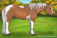 Horse Color:Silver Bay Tobiano 