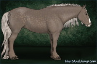 Horse Color:Silver Black Splash