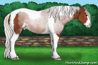 Horse Color:Silver Bay Sabino Splash Tobiano 