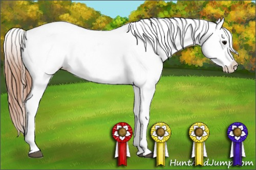 Horse Color: Black Blanket Rabicano 