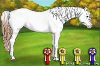 Horse Color:Black Appaloosa Rabicano 