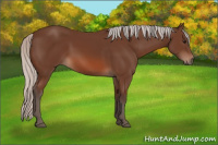 Horse Color:Silver Brown 