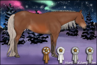 Horse Color:Silver Bay 