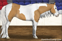 Horse Color:Silver Buckskin Splash Tobiano 
