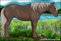 Horse Color:Silver Black 