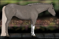 Horse Color:Silver Black 