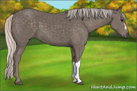 Horse Color:Silver Black 