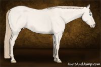 Horse Color:Smoky Creme Roan Dun 