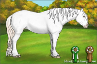 Horse Color:Palomino Sabino Tobiano Blanket 