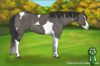 Horse Color:Brown Dun Sabino Splash Tobiano 