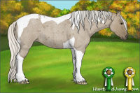 Horse Color:Silver Buckskin Roan Dun Tobiano 