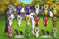 Horse Color:White Spotted Black Sabino