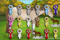 Horse Color:Grullo Pearl Tobiano 