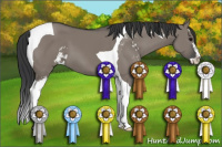 Horse Color:Grullo Sabino Tobiano 