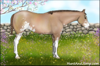Horse Color:Black Pearl Sabino 