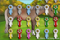 Horse Color:Silver Black Sabino Tobiano 