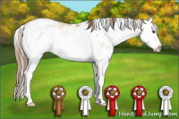 Horse Color:Grullo Pearl Sabino 