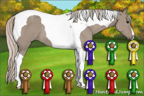 Horse Color: Silver Grullo Tobiano 