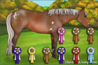 Horse Color:White Spotted Silver Brown Sabino 