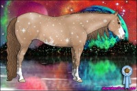 Horse Color:Black Pearl Sabino 