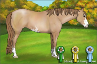 Horse Color:Black Pearl Sabino 