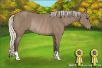 Horse Color:Silver Black Rabicano 