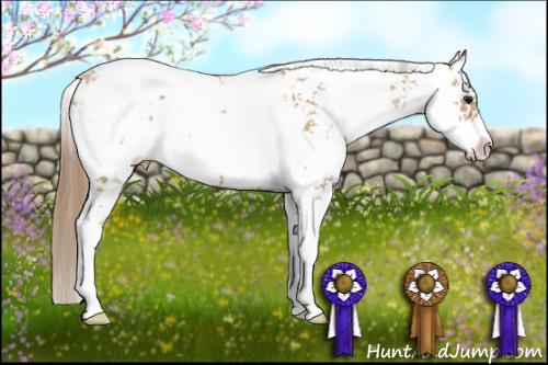Horse Color: Black Pearl Sabino 