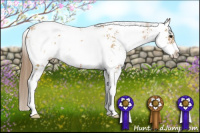 Horse Color:Black Pearl Sabino 