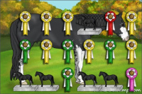 Horse Color:Black Sabino 