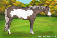 Horse Color:Silver Black Frame