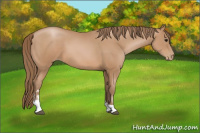 Horse Color:Brown Pearl Sabino 