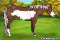 Horse Color:Silver Brown Frame 