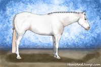 Horse Color:Chestnut Sabino Splash Tobiano Frame Snowcap 