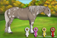 Horse Color:Silver Brown Dun Sabino 
