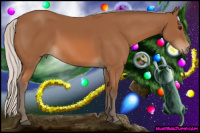 Horse Color:Silver Bay 
