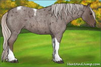Horse Color:Silver Blue Roan Tobiano 