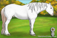 Horse Color:Liver Chestnut Sabino Splash Appaloosa 