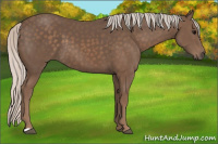 Horse Color:Silver Black 