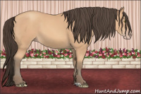 Horse Color:Amber Champagne 