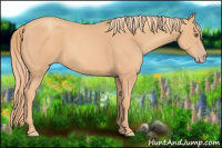 Horse Color:Gold Champagne