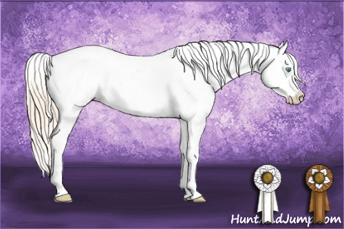 Horse Color: White Spotted Perlino Blanket 