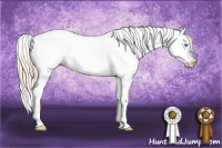 Horse Color:White Spotted Perlino Appaloosa 