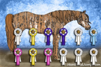 Horse Color:Gray White Spotted Bay  Brindle