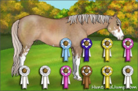 Horse Color:Silver Brown Dun Sabino 