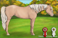Horse Color:Gold Champagne 