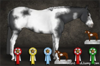 Horse Color:Black Tobiano Frame