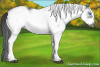 Horse Color:White Spotted Black Frame 