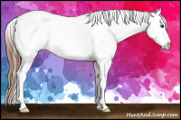 Horse Color:Bay Dun Tobiano Blanket Rabicano 
