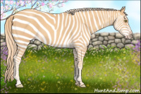 Horse Color:Gold Champagne 