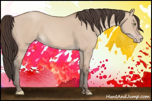Horse Color: Amber Champagne Dun 